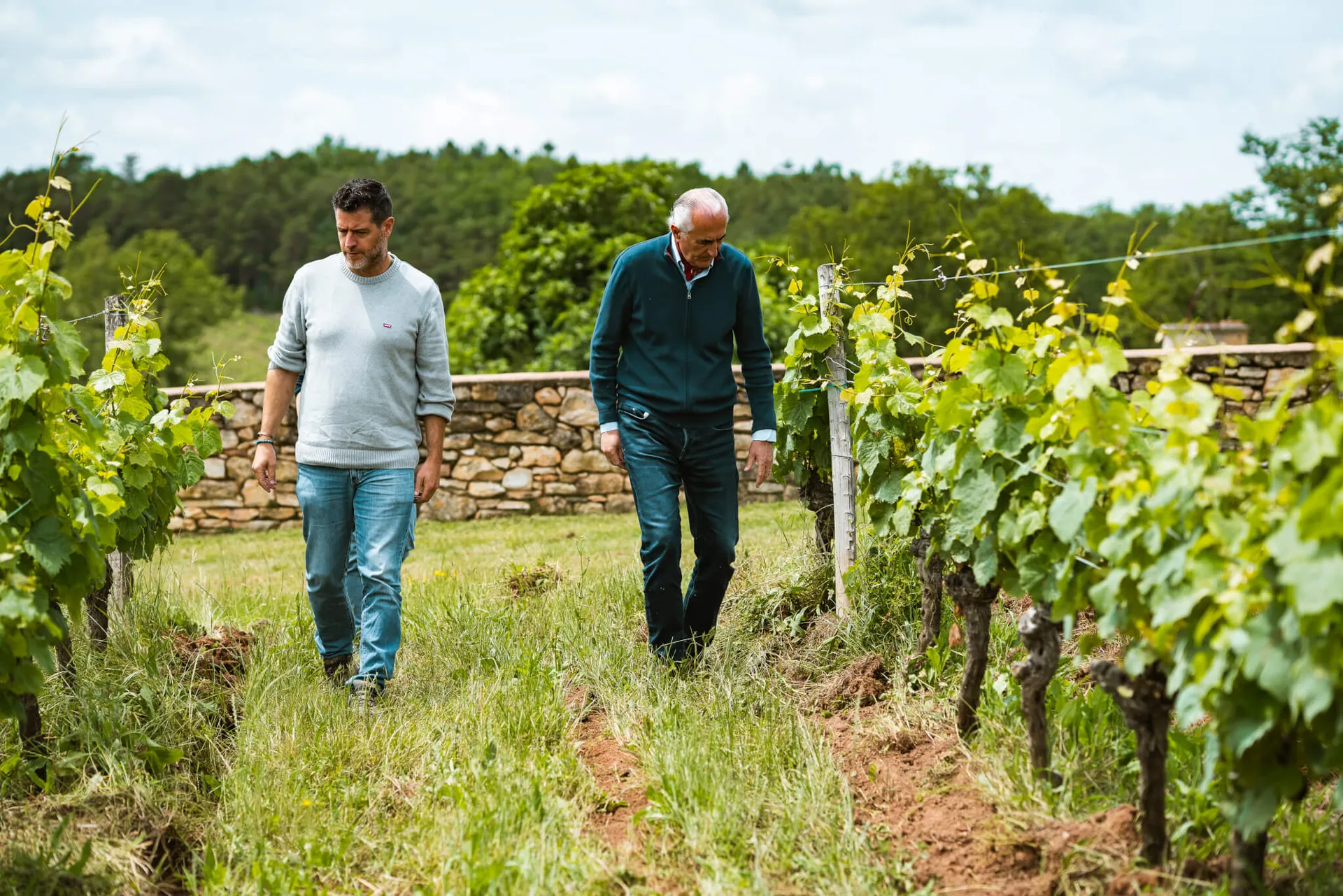 vignerons-consultants-05-05-25-20-107
