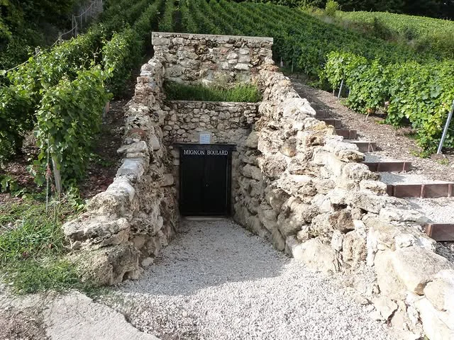 Champagne Mignon boulard vignes