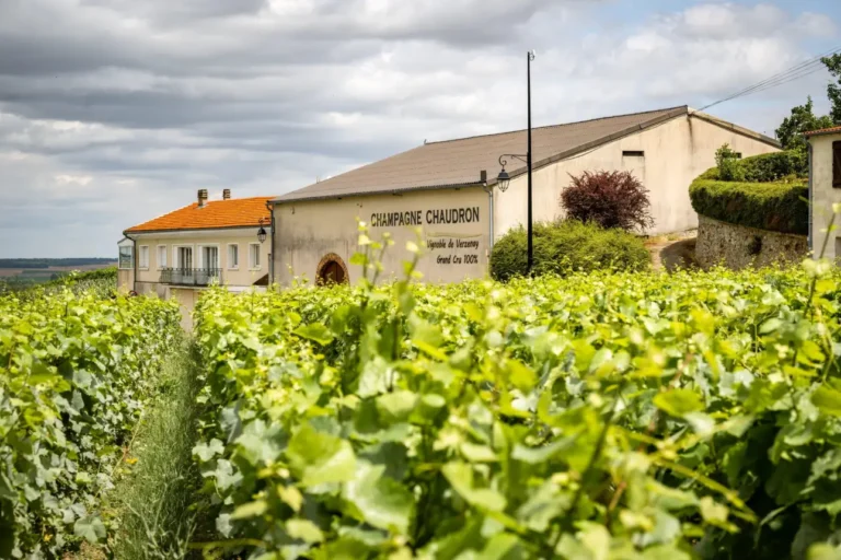 Champagne chaudron VR Wine Consulting