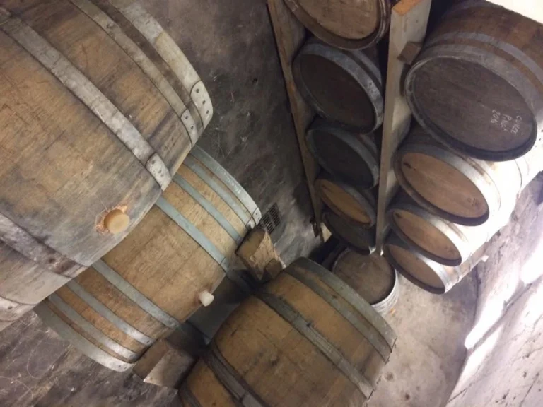 VR Wine Consulting Cave domaine champagne Langlet