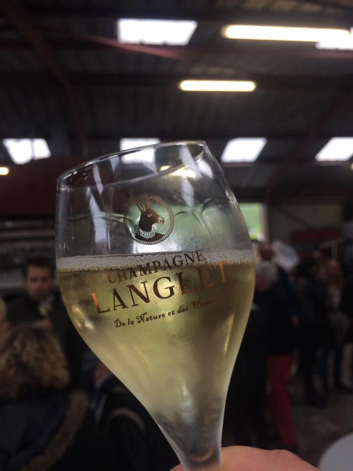 VR Wine Consulting Verre de champagne Langlet