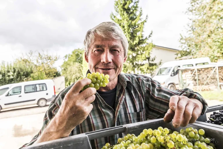 VR Wine Consulting champagne pierre boever vigneron